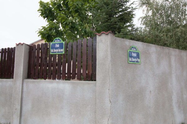 Sortate-29 Sortate-29