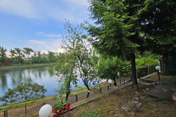 20230527_164654 20230527_164654